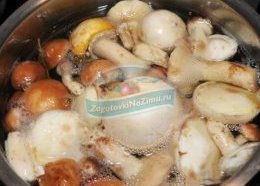 Белые грибы на зиму: как приготовить и правила хранения