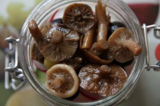 Допускается использовать грибы коровники для домашнего консервирования на зимний период