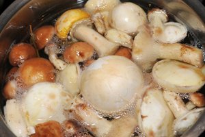 как избежать ботулизма в грибах