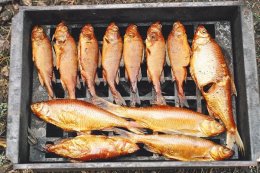 Как коптить рыбу, копченая рыба, какую рыбу коптить, как приготовить копченую рыбу, коптильня для рыбы, рецепт копчения рыбы, на чем коптить рыбу, сколько коптить рыбу, как коптить рыбу без коптильни
